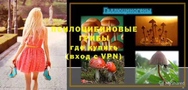 гашик Баксан